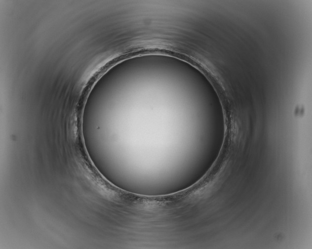 X0000112040782200908031515