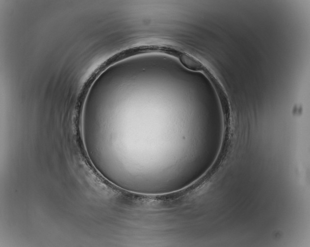 X0000112040783200908031515