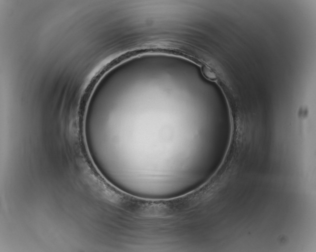 X0000112040784200908031515