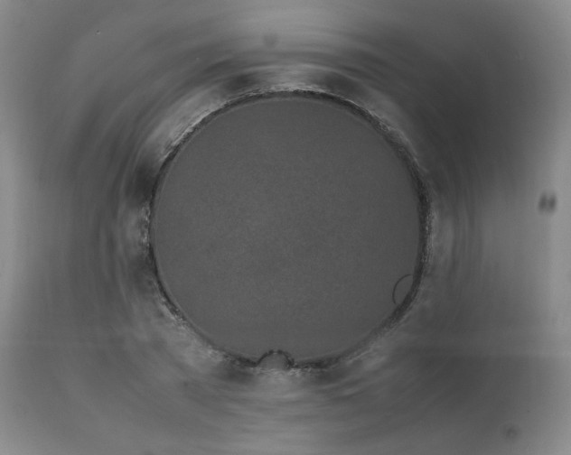 X0000112040785200908031515