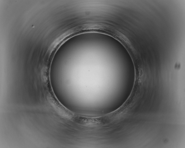 X0000112040786200908031515