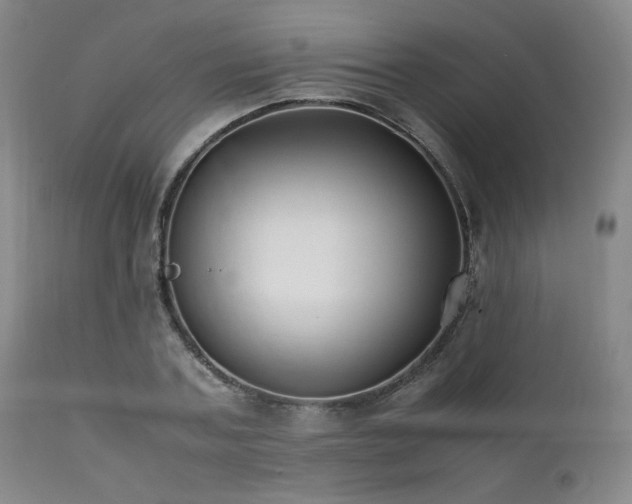 X0000112040787200908031515