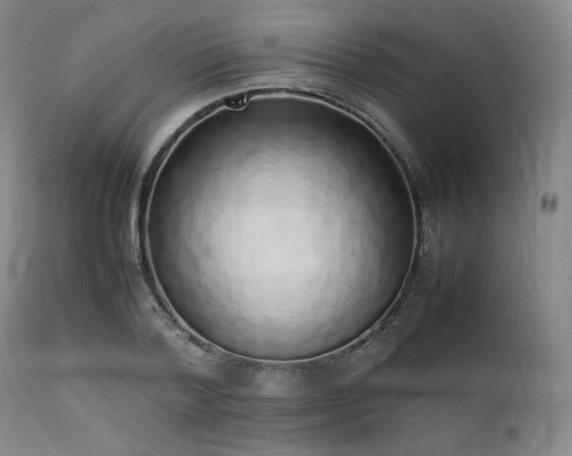 X0000112040788200908031515