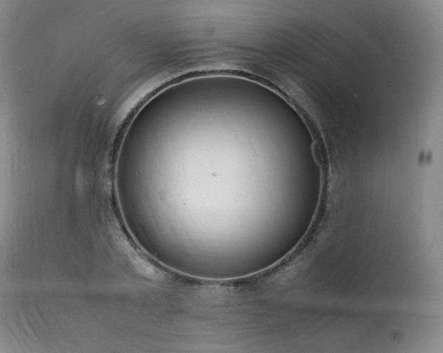 X0000112040789200908031515