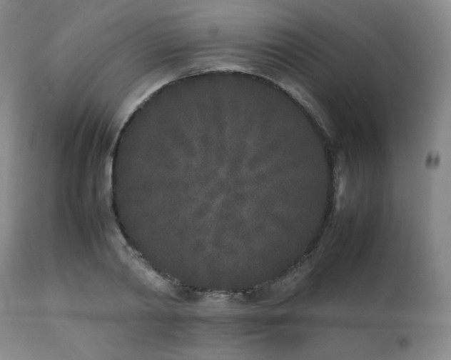 X0000112040790200908031515