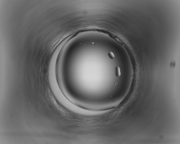 X0000112040793200908031515