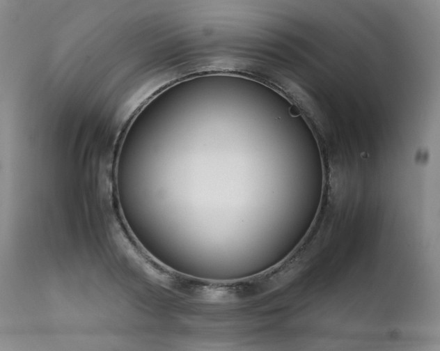 X0000112040794200908031515