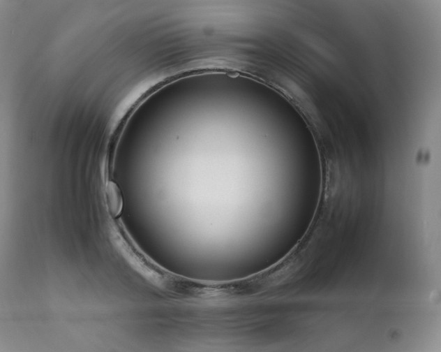 X0000112040796200908031515