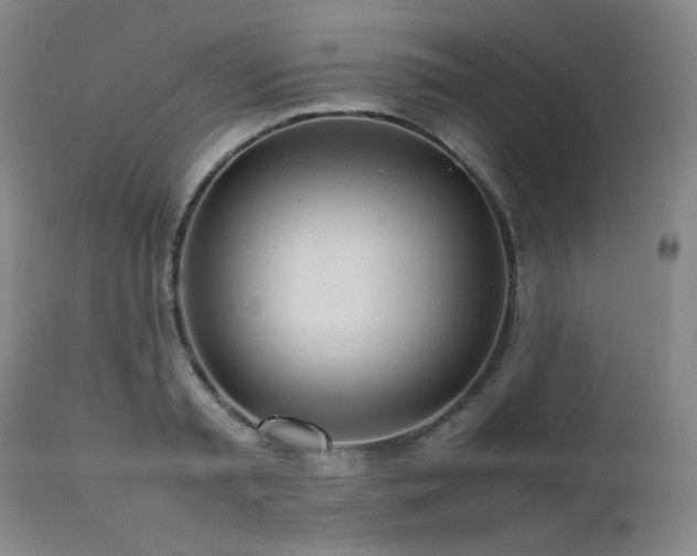 X0000112040797200908031515