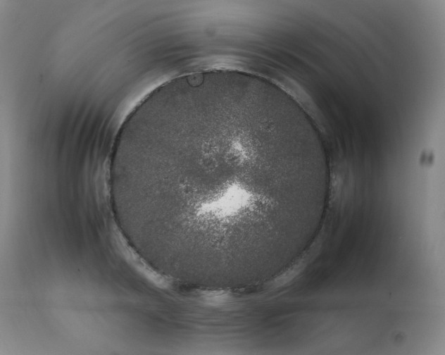 X0000112040798200908031515