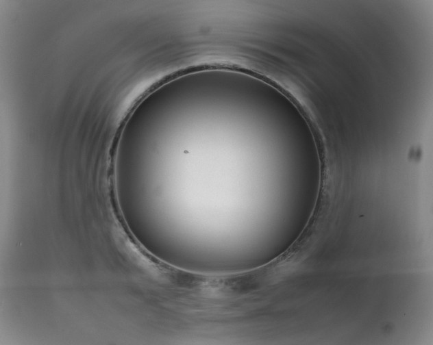 X0000112040799200908031515