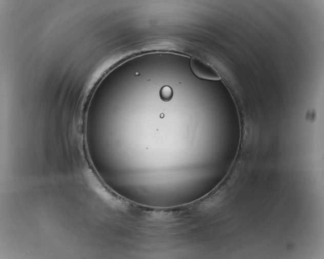 X0000112040800200908031515