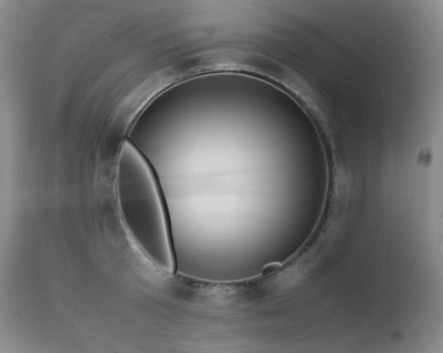 X0000112040801200908031515