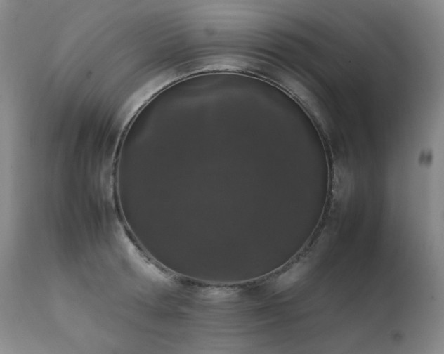 X0000112040802200908031515