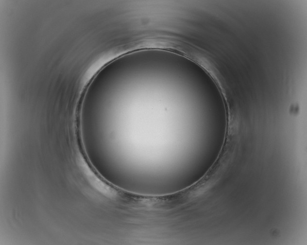 X0000112040803200908031515