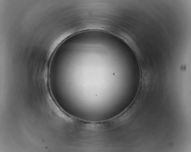 X0000112040804200908031515