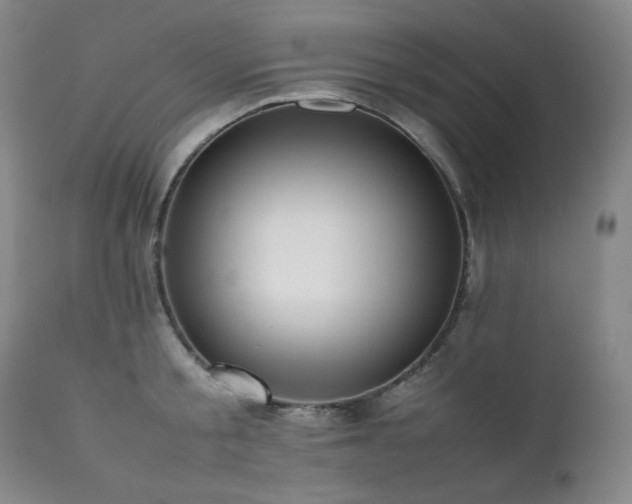 X0000112040805200908031515