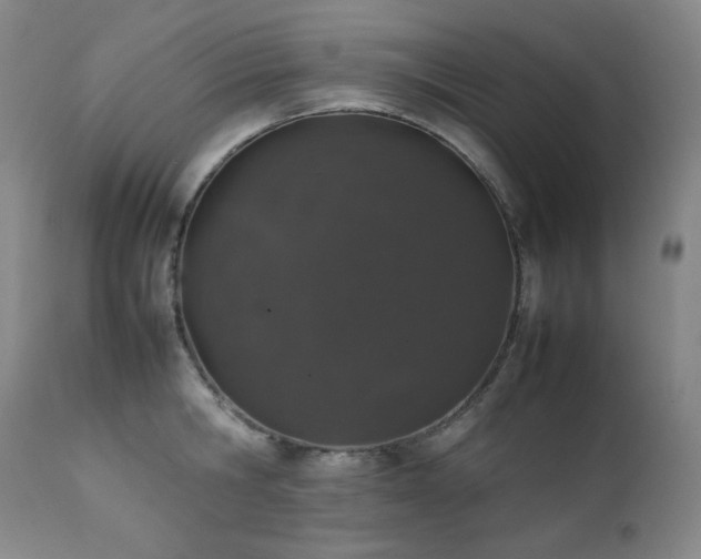 X0000112040806200908031515