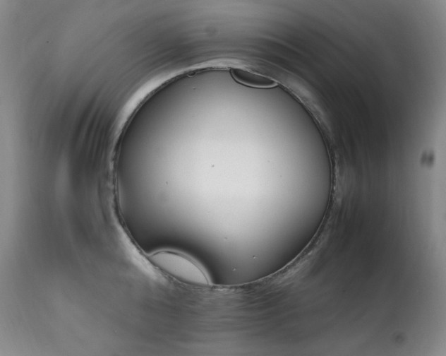 X0000112040808200908031515
