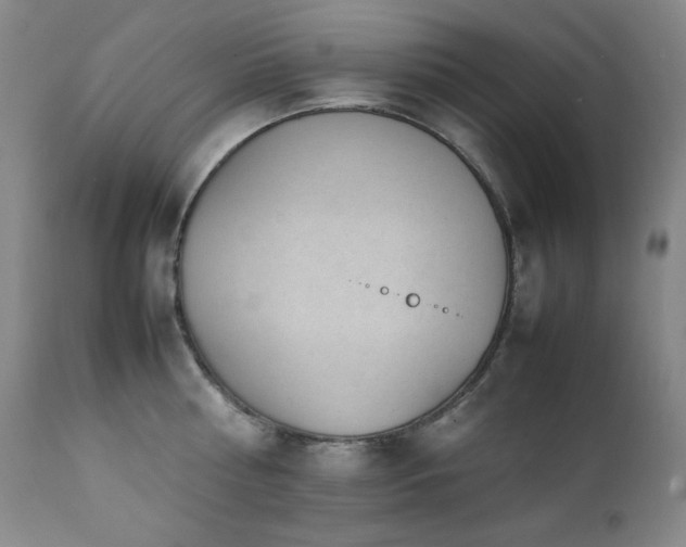 X0000112040810200908031515