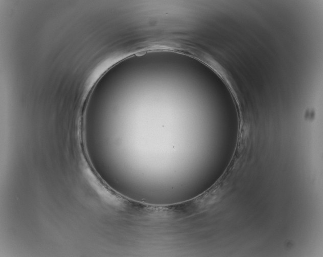 X0000112040811200908031515