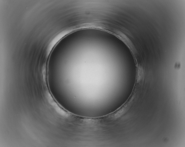 X0000112040812200908031515