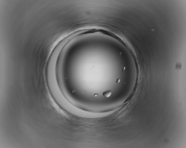 X0000112040813200908031515