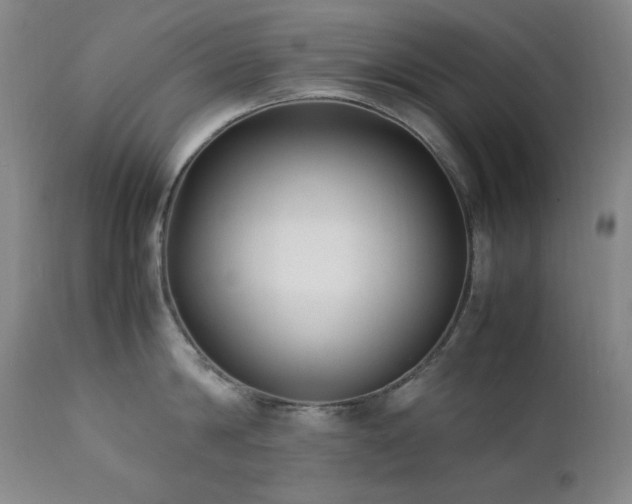 X0000112040814200908031515