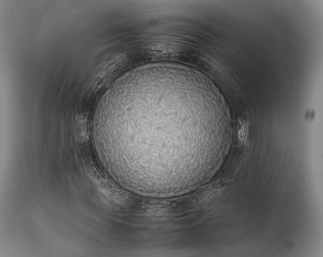 X0000112040819200908031514