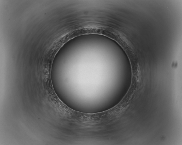 X0000112040821200908031514