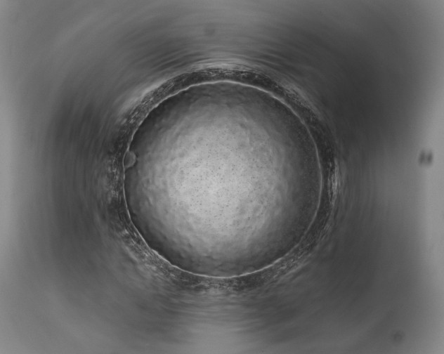X0000112040822200908031514