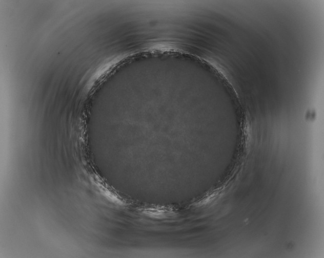 X0000112040823200908031514