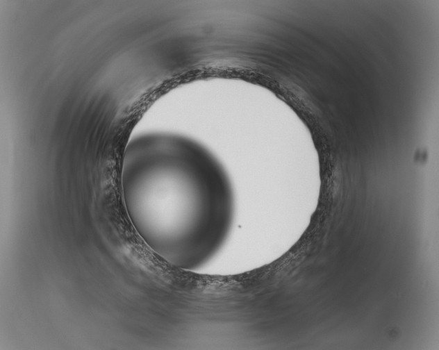 X0000112040824200908031514