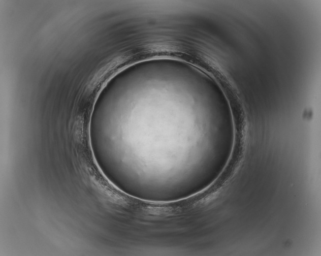 X0000112040825200908031514