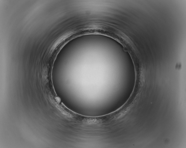 X0000112040826200908031514