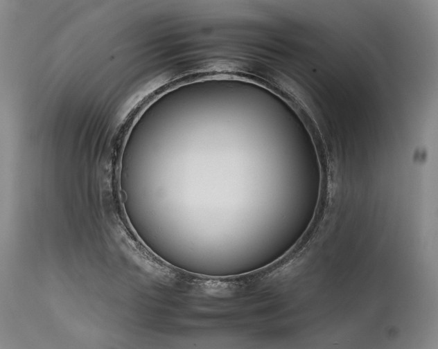 X0000112040827200908031514