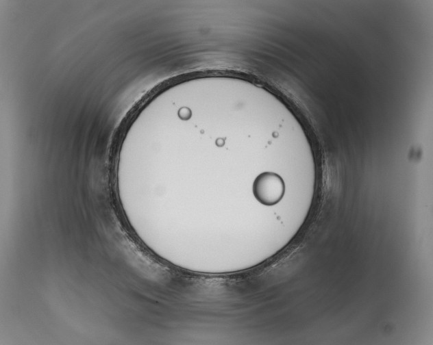 X0000112040828200908031514