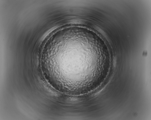 X0000112040829200908031514