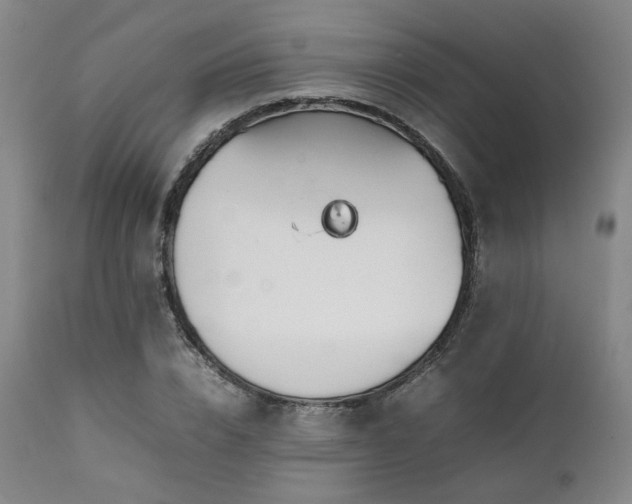 X0000112040832200908031514