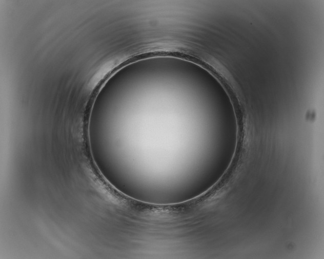 X0000112040834200908031514