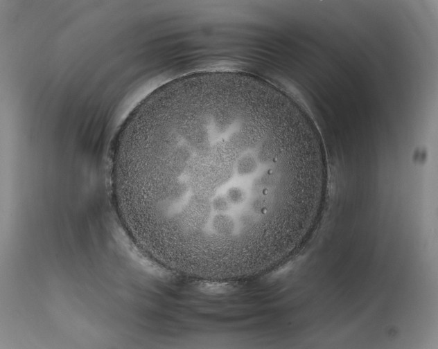 X0000112040835200908031514