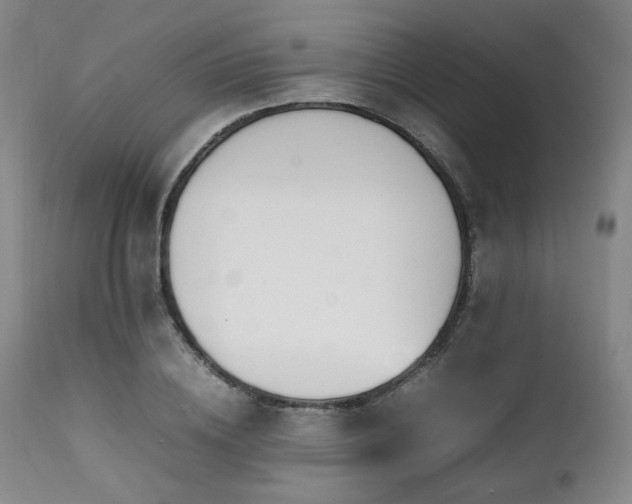 X0000112040836200908031514