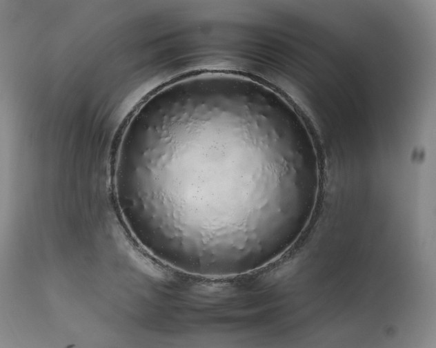 X0000112040837200908031514