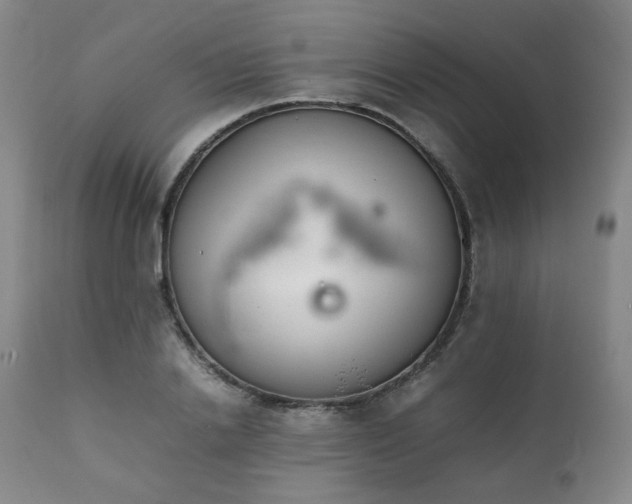 X0000112040838200908031514