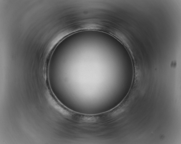 X0000112040843200908031514