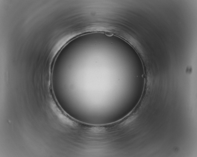 X0000112040844200908031514