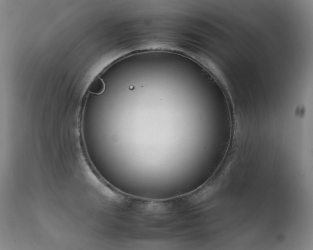 X0000112040847200908031514