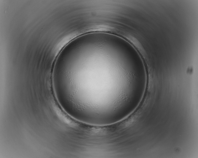 X0000112040850200908031514