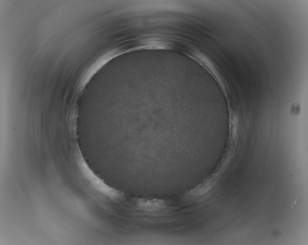 X0000112040851200908031514