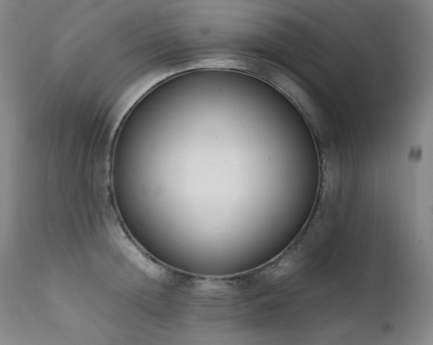 X0000112040852200908031514